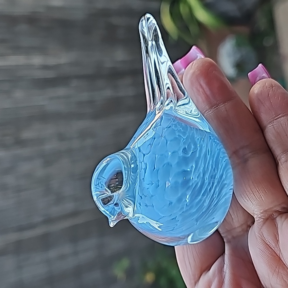 Glass bird 🐦